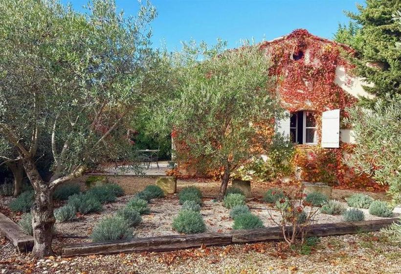 بنسيون La Maison De Line