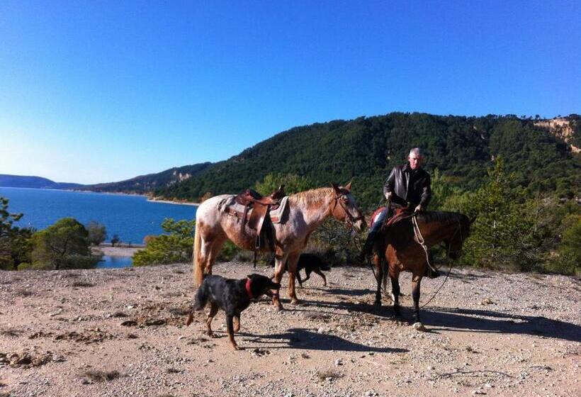 پانسیون Domaine D Angouire
