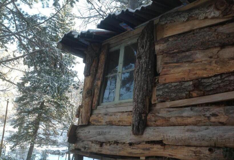 پانسیون Domaine D Angouire