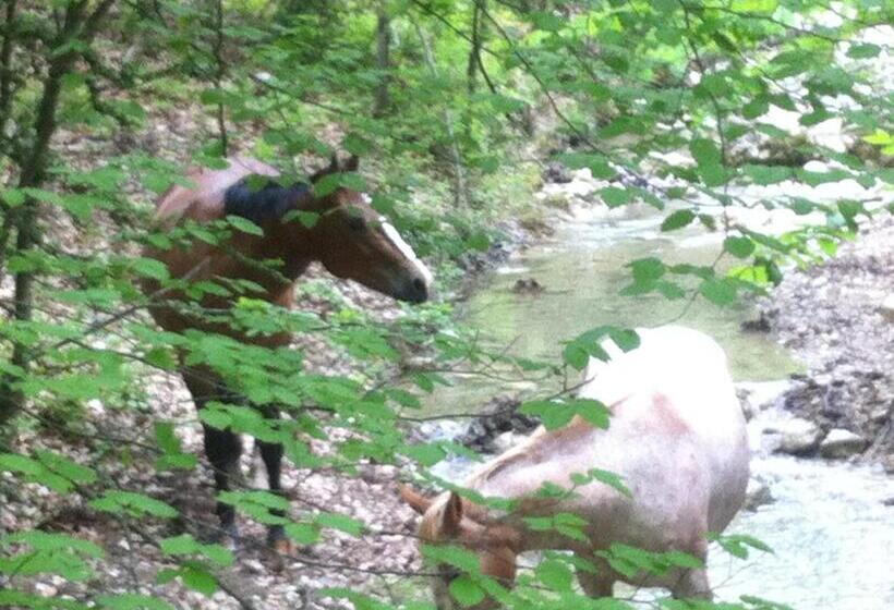 پانسیون Domaine D Angouire