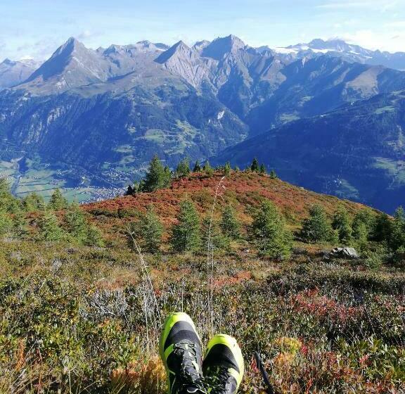 ユースホステル Landgasthof Steiner