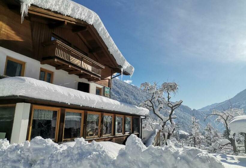 ユースホステル Landgasthof Steiner