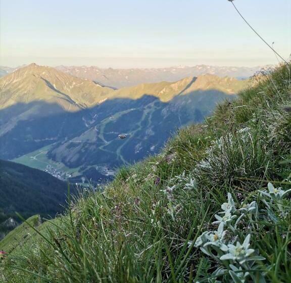 ユースホステル Landgasthof Steiner