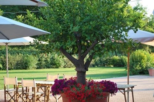 酒店 Agriturismo Corte Morandini