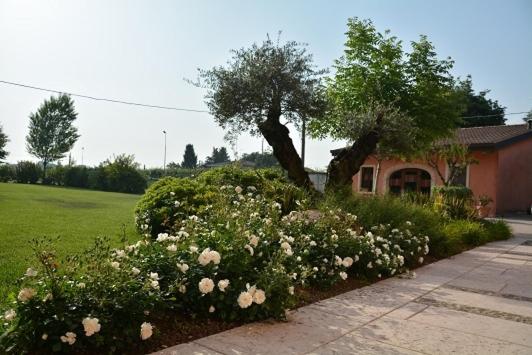 酒店 Agriturismo Corte Morandini