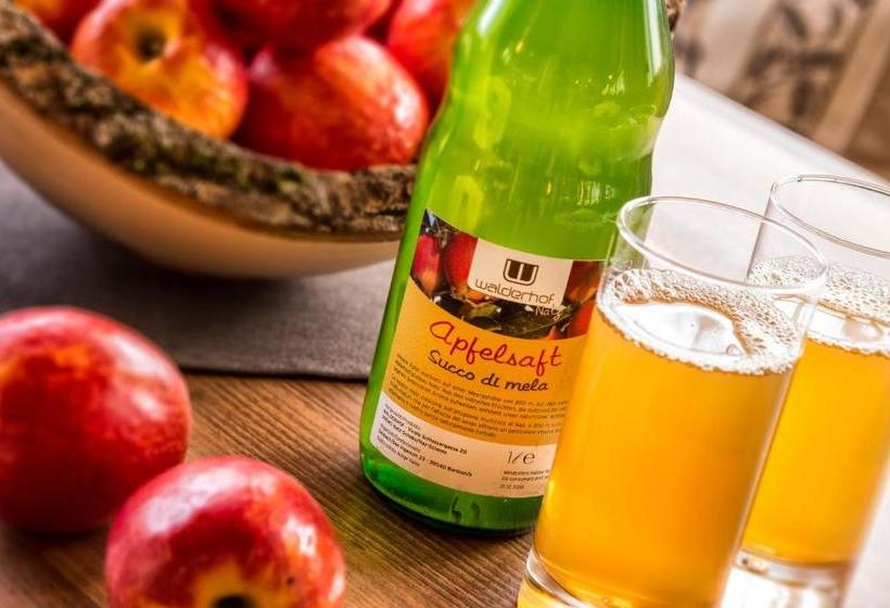 酒店 Ferienwohnung Walderhof Natz