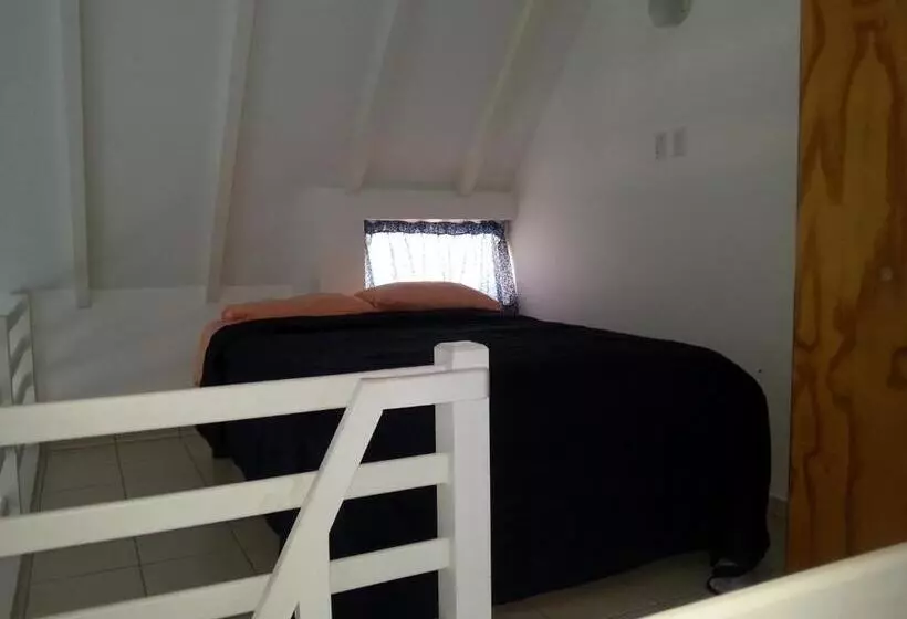 Orange Rembrandt Studio Apartments