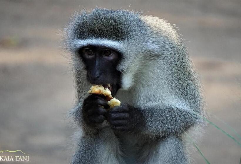 פנסיון Kaia Tani Exclusive Guesthouse