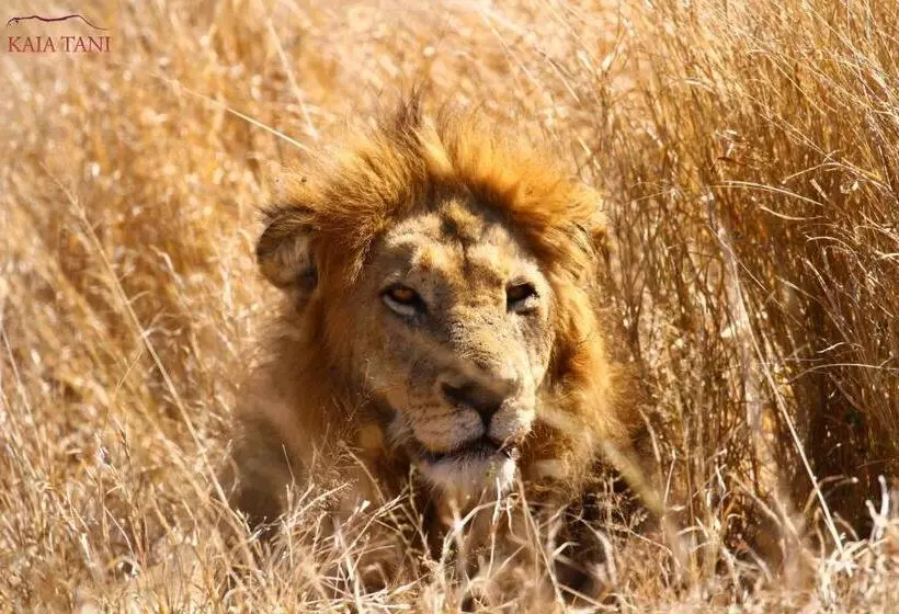 ペンション Kaia Tani Exclusive Guesthouse