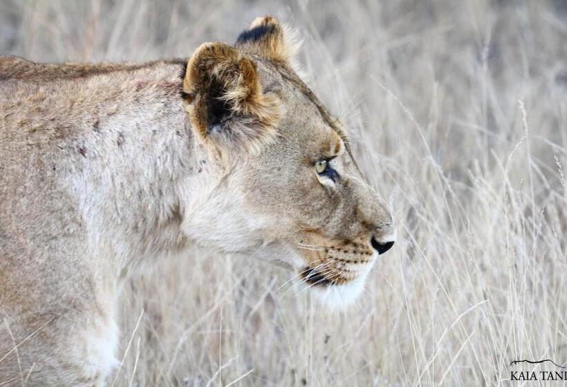 פנסיון Kaia Tani Exclusive Guesthouse