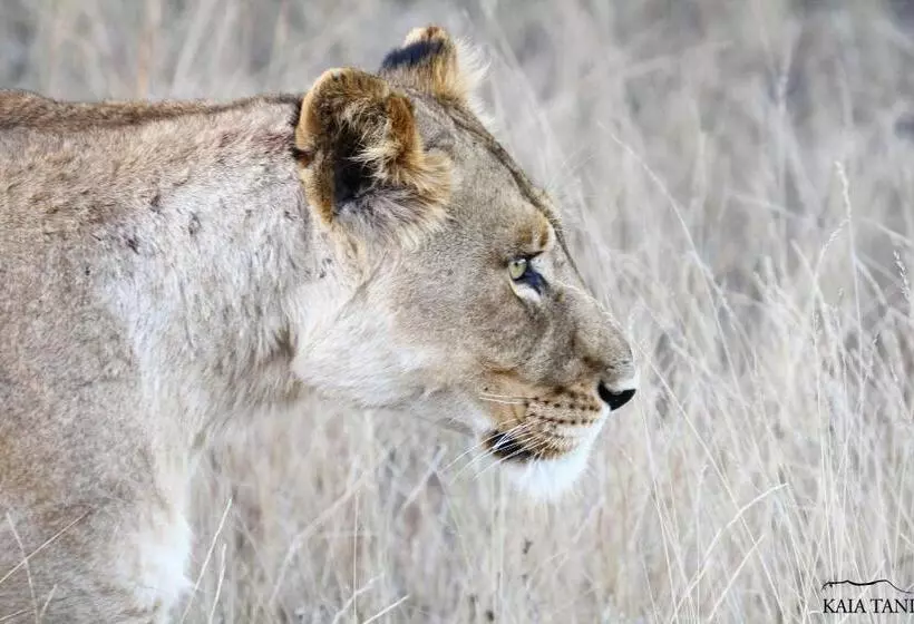 ペンション Kaia Tani Exclusive Guesthouse