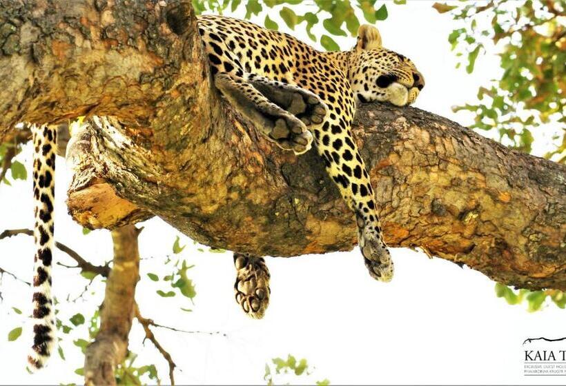 פנסיון Kaia Tani Exclusive Guesthouse