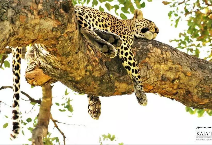 ペンション Kaia Tani Exclusive Guesthouse