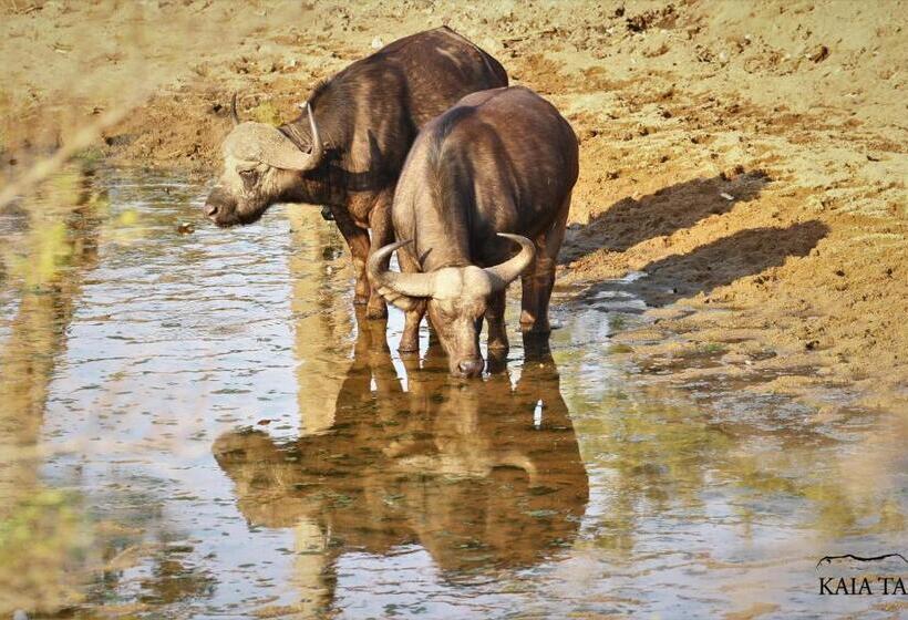 פנסיון Kaia Tani Exclusive Guesthouse