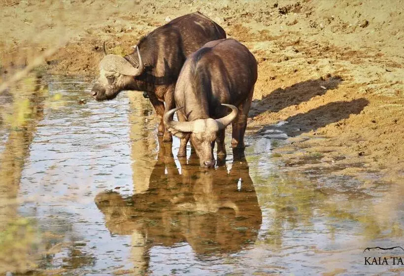 ペンション Kaia Tani Exclusive Guesthouse