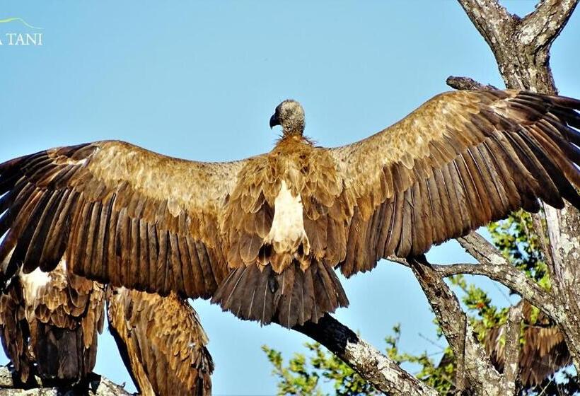 פנסיון Kaia Tani Exclusive Guesthouse