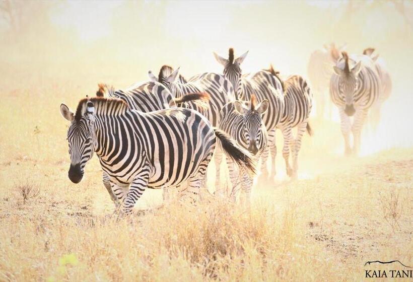 פנסיון Kaia Tani Exclusive Guesthouse