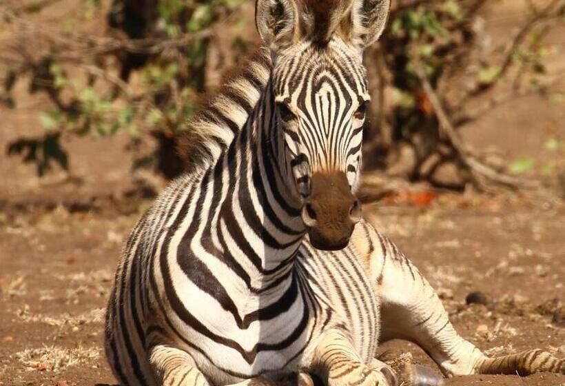 פנסיון Kaia Tani Exclusive Guesthouse