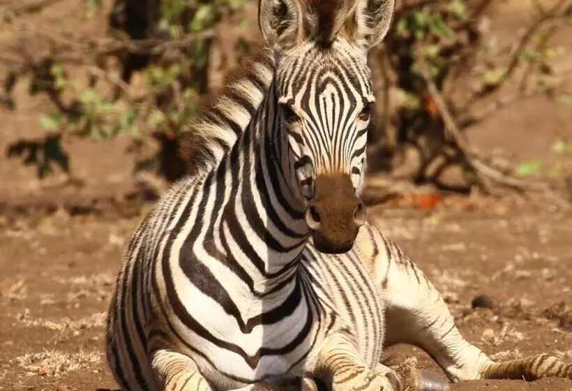 ペンション Kaia Tani Exclusive Guesthouse