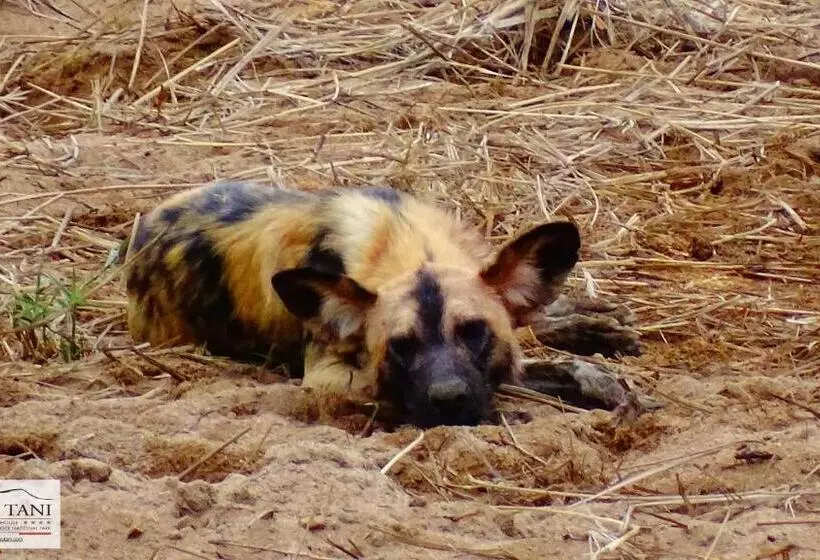 ペンション Kaia Tani Exclusive Guesthouse