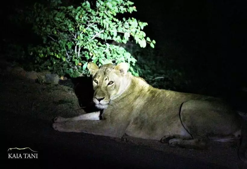 ペンション Kaia Tani Exclusive Guesthouse