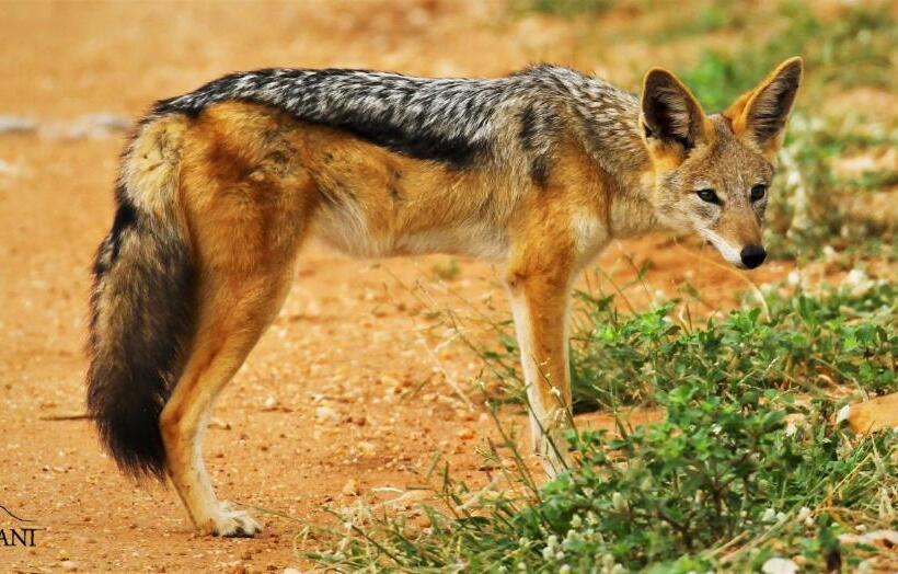 פנסיון Kaia Tani Exclusive Guesthouse