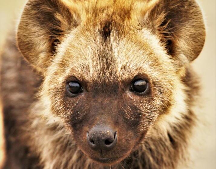 פנסיון Kaia Tani Exclusive Guesthouse