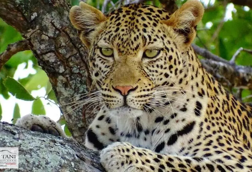 ペンション Kaia Tani Exclusive Guesthouse