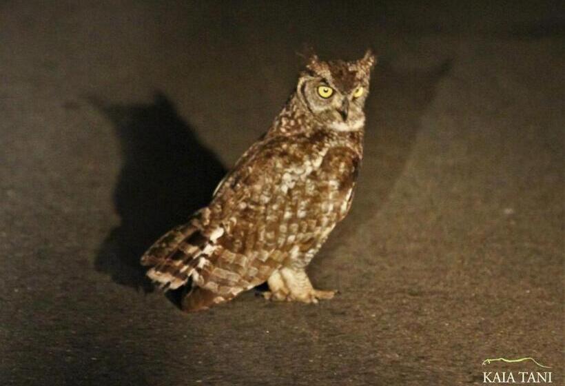 פנסיון Kaia Tani Exclusive Guesthouse