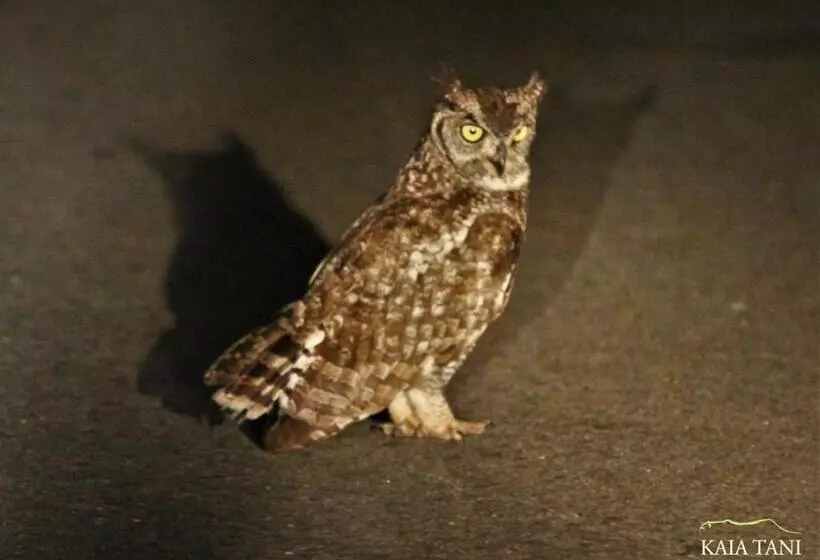 ペンション Kaia Tani Exclusive Guesthouse