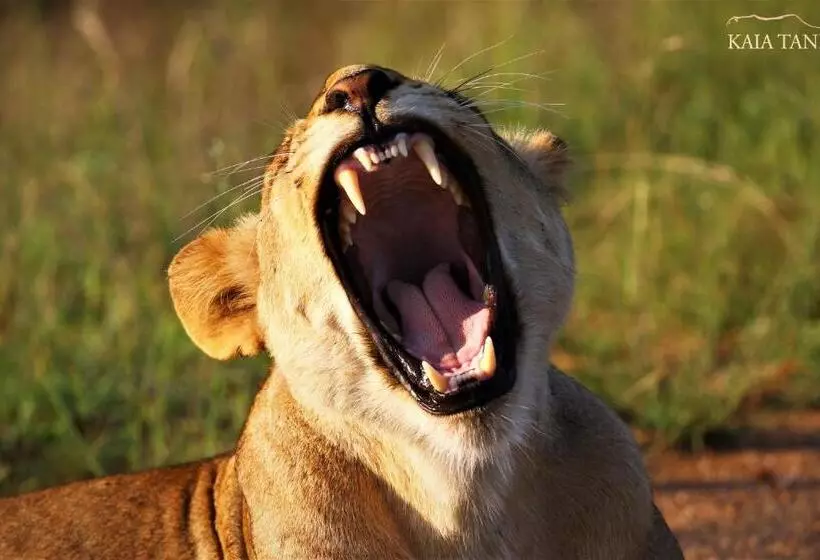 ペンション Kaia Tani Exclusive Guesthouse