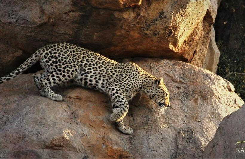 פנסיון Kaia Tani Exclusive Guesthouse