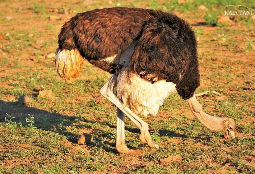 פנסיון Kaia Tani Exclusive Guesthouse