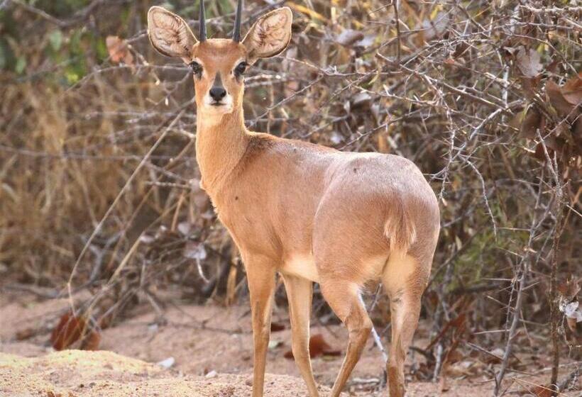 פנסיון Kaia Tani Exclusive Guesthouse