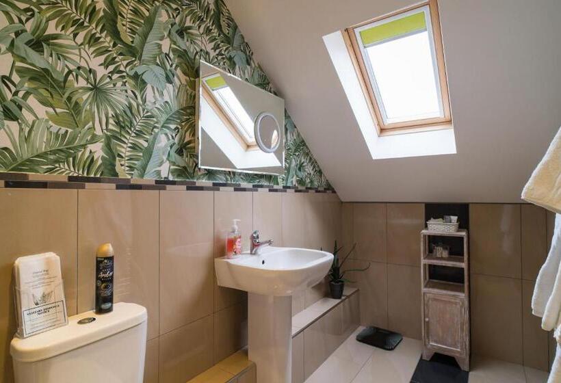 פנסיון Maes Bach