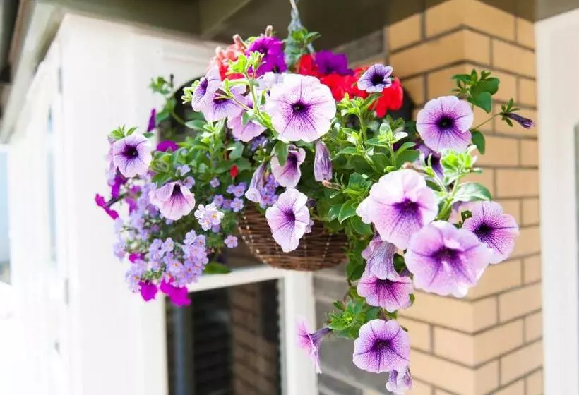 ペンション Maes Bach