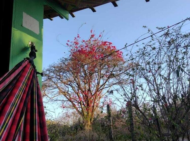 پانسیون Palhoça Da Colina