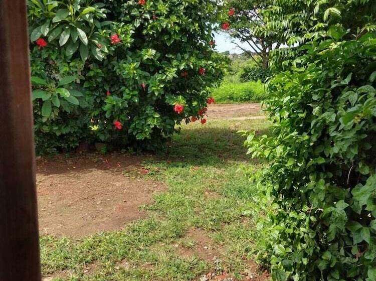 پانسیون Palhoça Da Colina