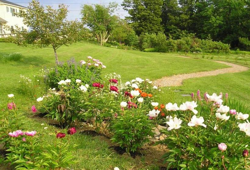 فندق صغير Cooper Hill Inn