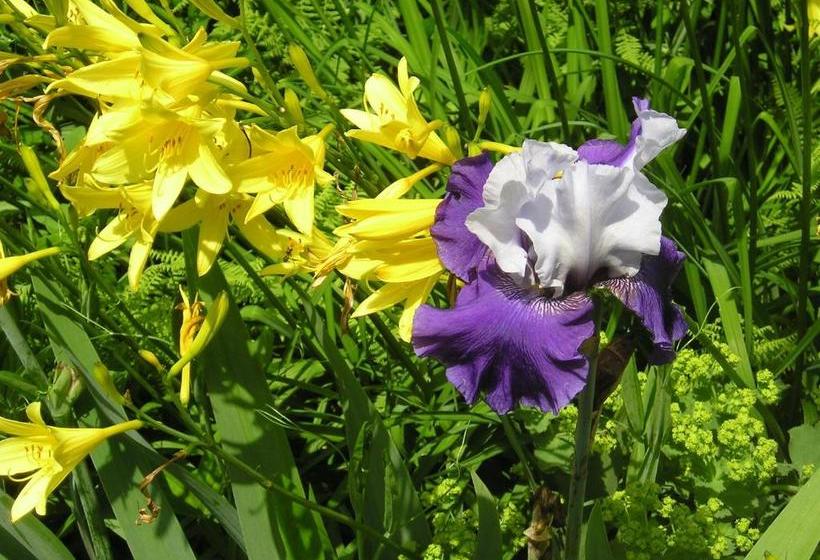 فندق صغير Cooper Hill Inn