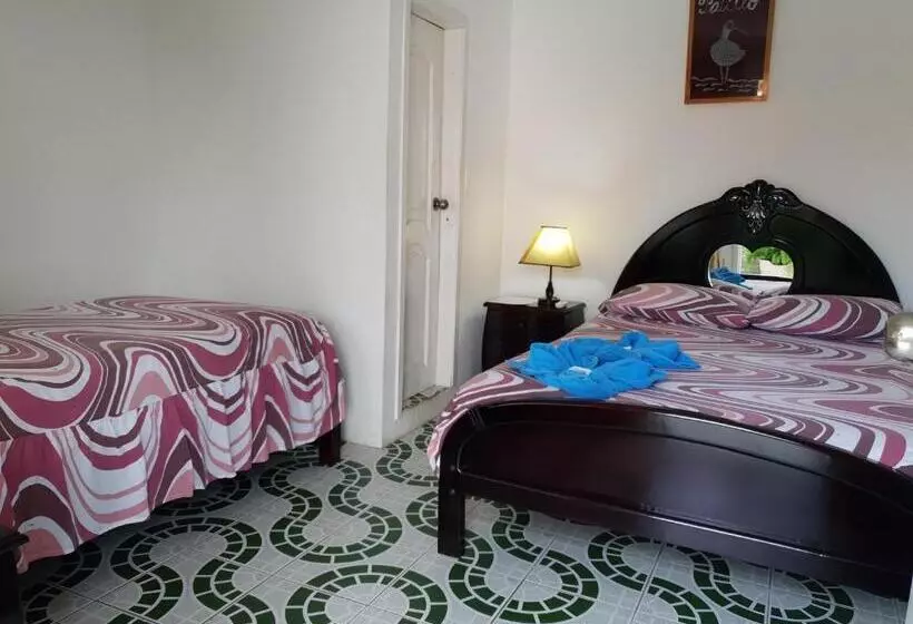 هاستل Hostal Cerro Azul