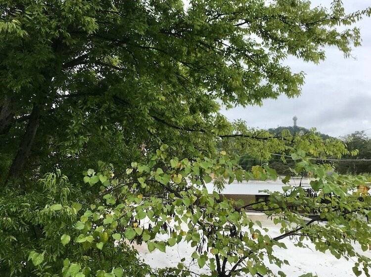 هاستل The Gables Inn