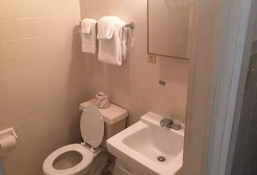 Motelli The Crystal Manatee