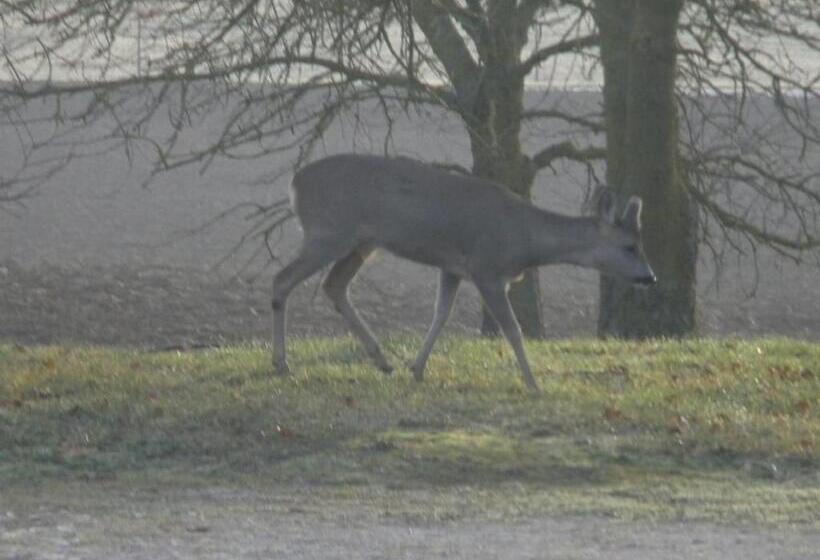 פנסיון Chambres D'hôtes Le Loubet