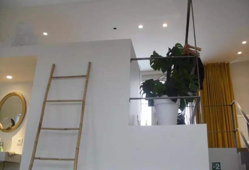 پانسیون Loftsuite