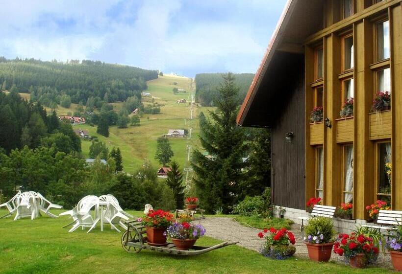 Пансион Penzion U Veselých