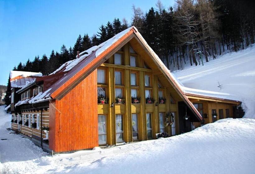 Пансион Penzion U Veselých