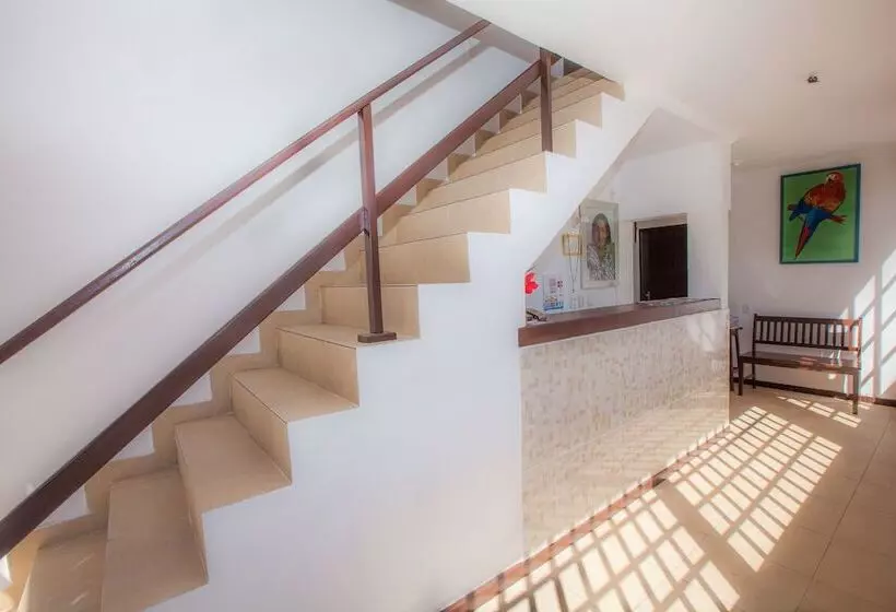 ペンション Pousada Tia Helena