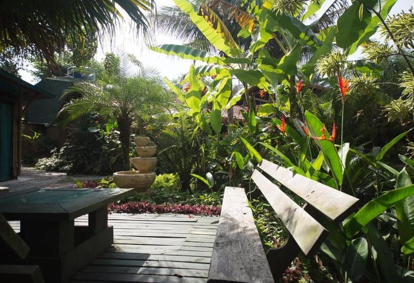 ペンション Pousada Treze Luas