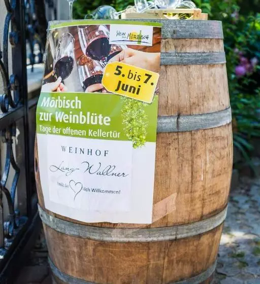 Pension Julia & Haus Elisabeth Wallner S Hofheuriger & Weinhof